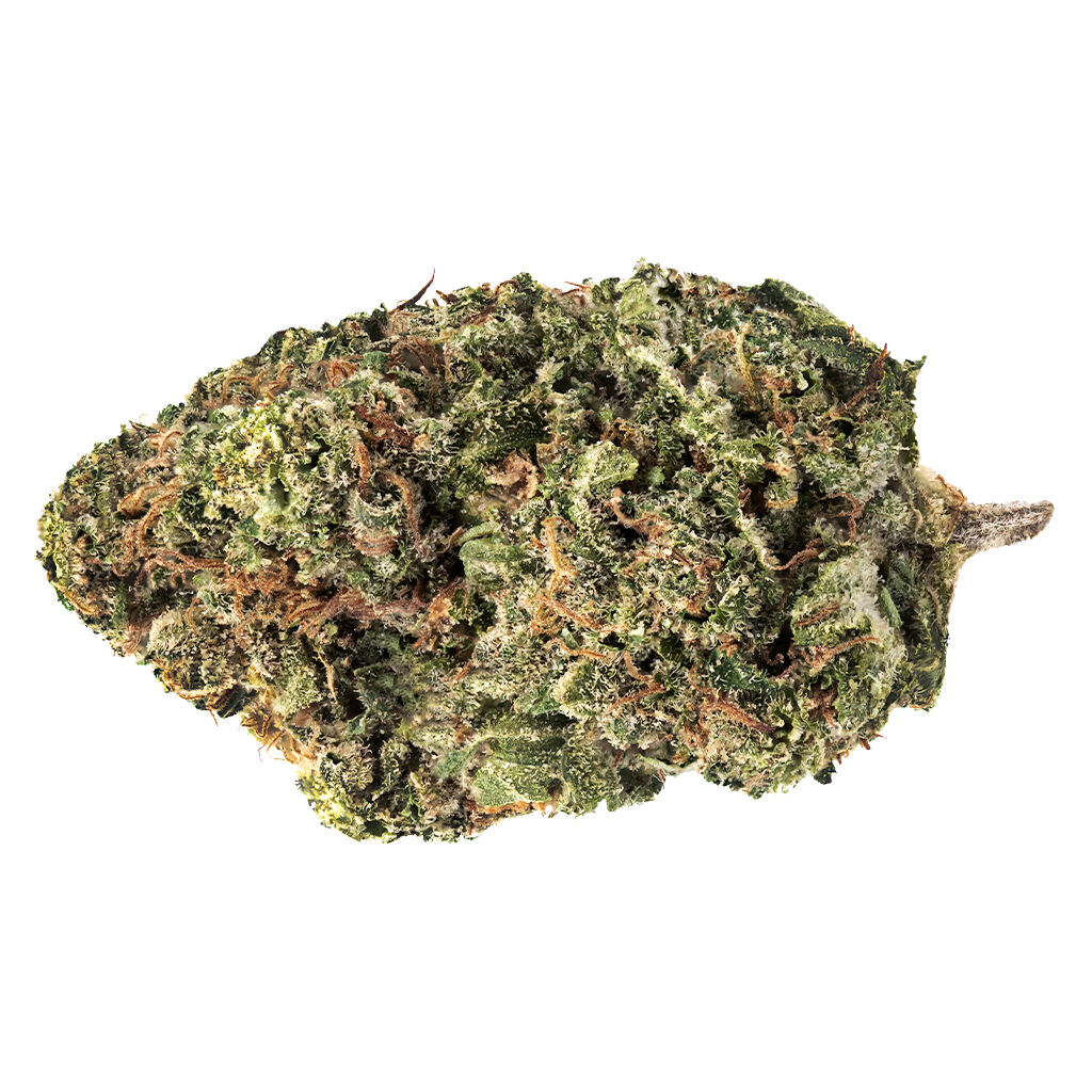 Ontario Cannabis Store - Jack Haze - 7ACRES