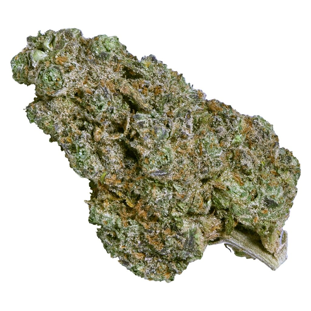 NORTHERN GREEN CANADA - Hero Bud