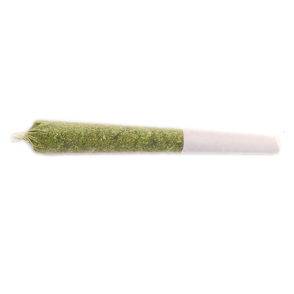 Atlanticann Medical Inc - Nova Glue Pre-Roll - Msiku