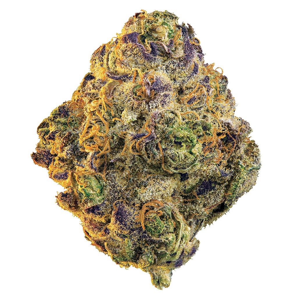 ORGANIGRAM - Slurricane Main Image