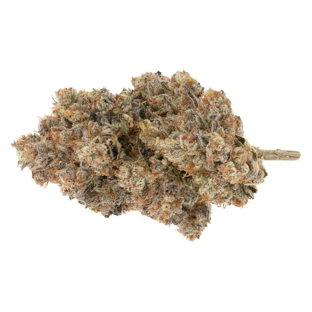 BROKEN COAST CANNABIS LTD. - Pipe Dream