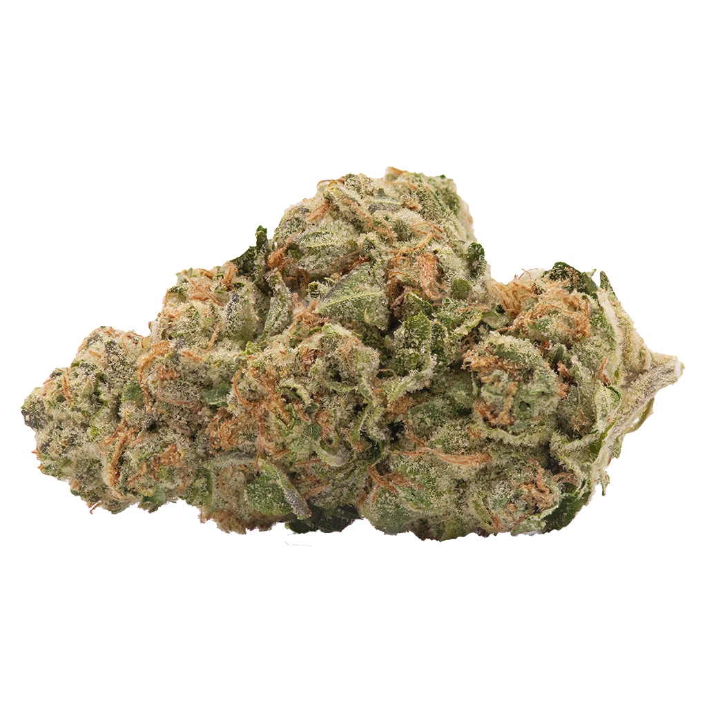 TERRASCEND CANADA - No. 427 Retrograde- Haven St. Premium Cannabis