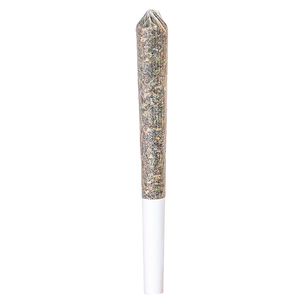 GG#4 1x0.5g Pre-Roll