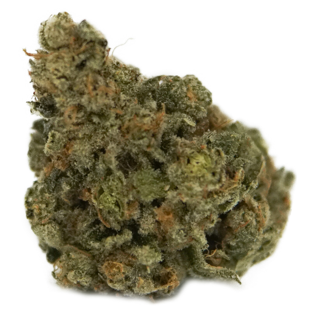 Exotic Gas