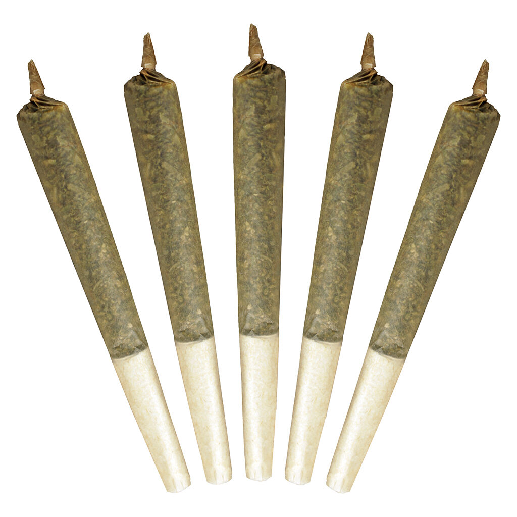 Buddy Blooms - Big Buddy Sativa 2x1g Pre-Rolls Main Image
