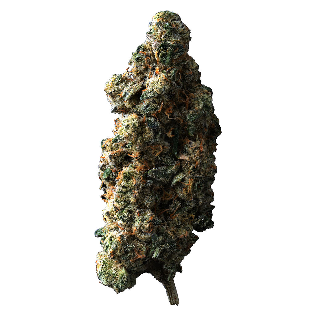 Killa Kush