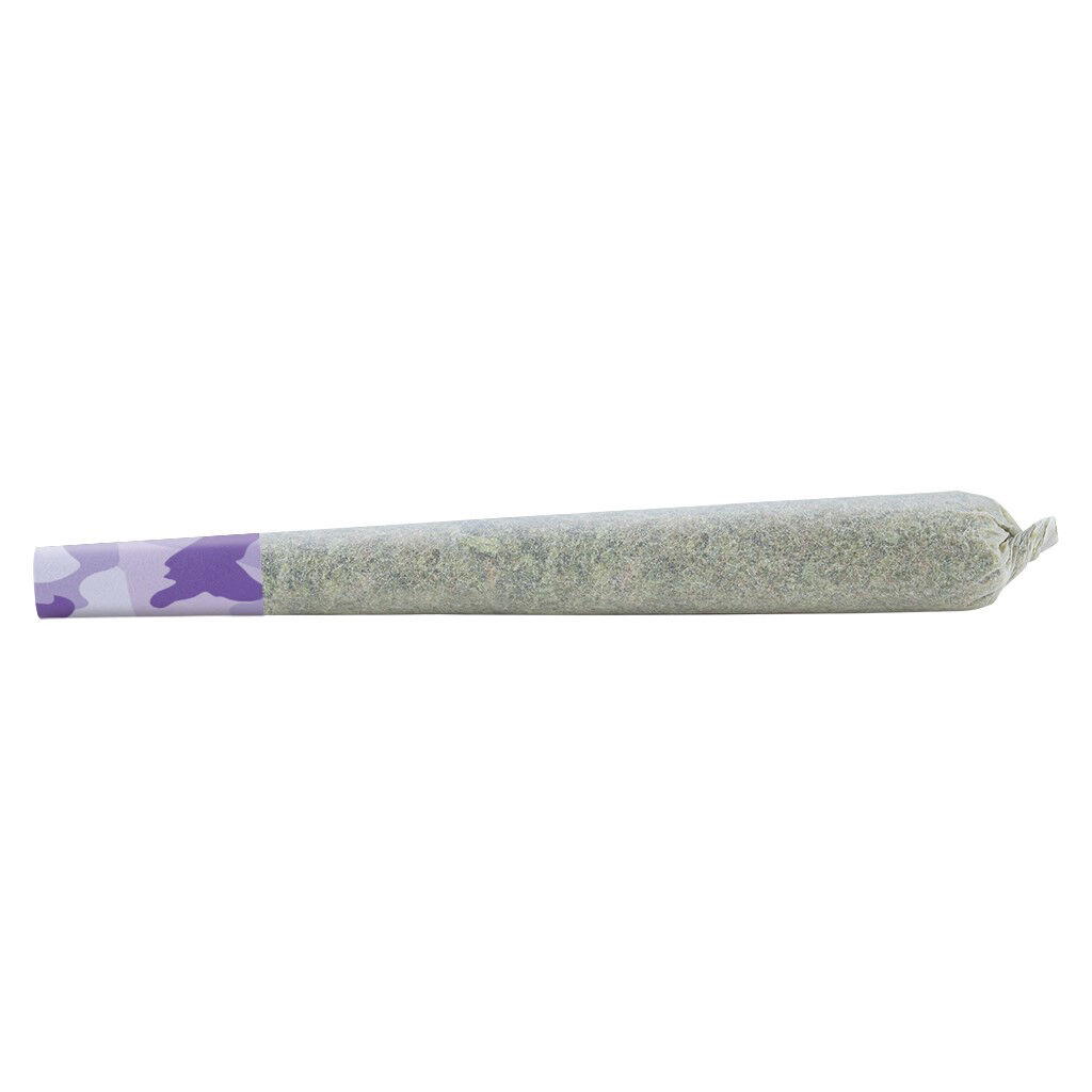 Product image SHRED - Dessert Storm Pre-Roll 1