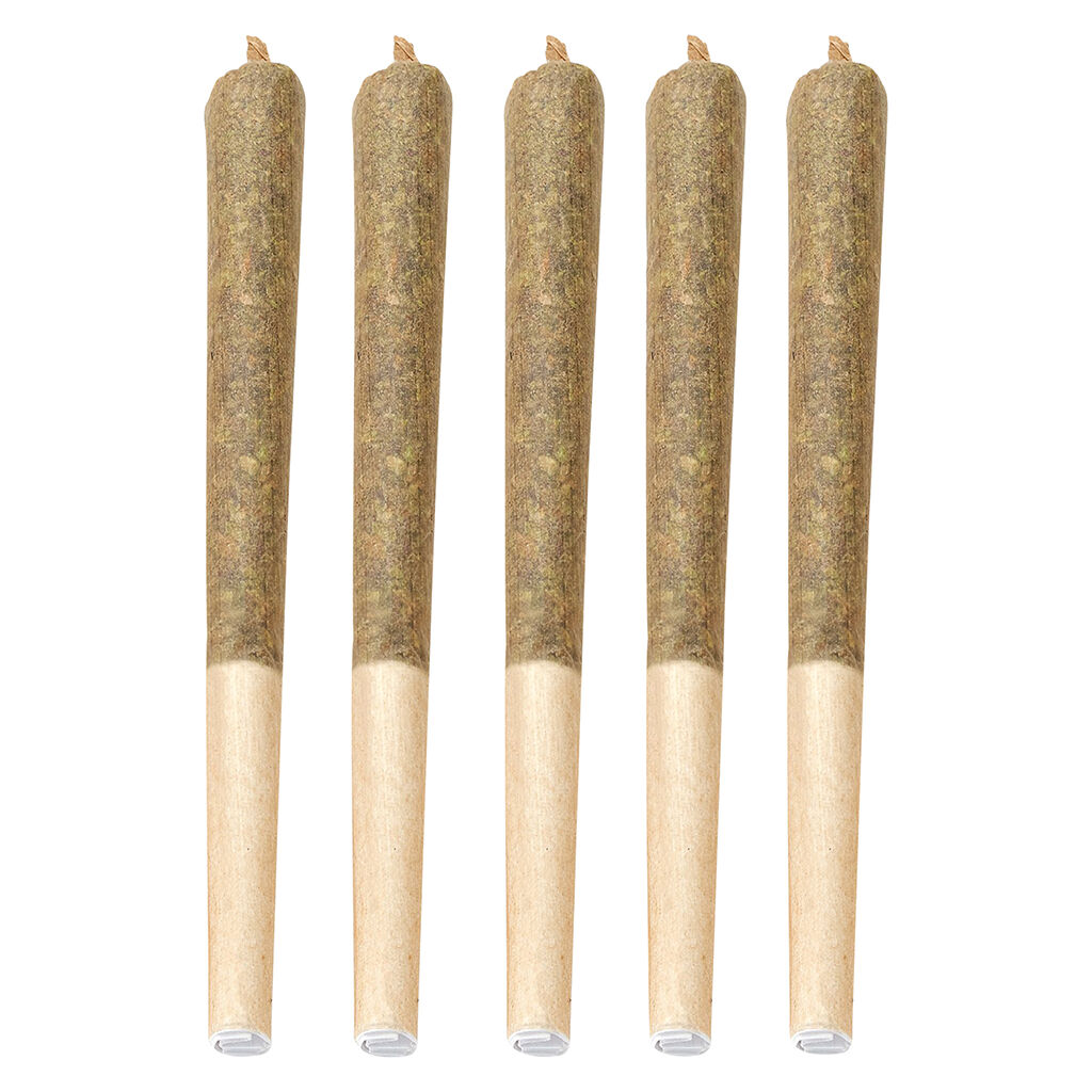 Citroli PreRoll  1x