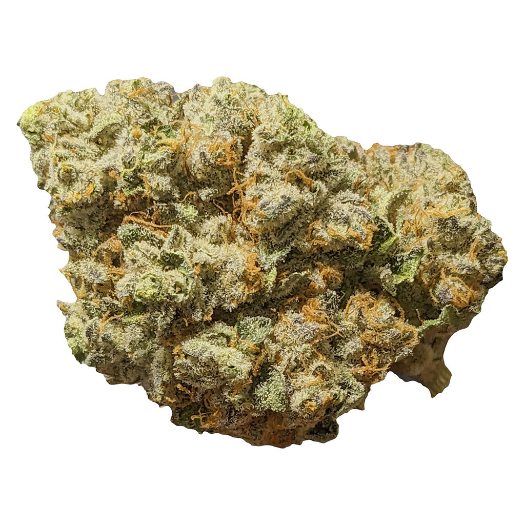 Product image 11 Week Pink 1