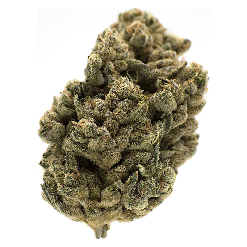 MTL CANNABIS - Jungl' Cake 14g Dried Flower Main Image
