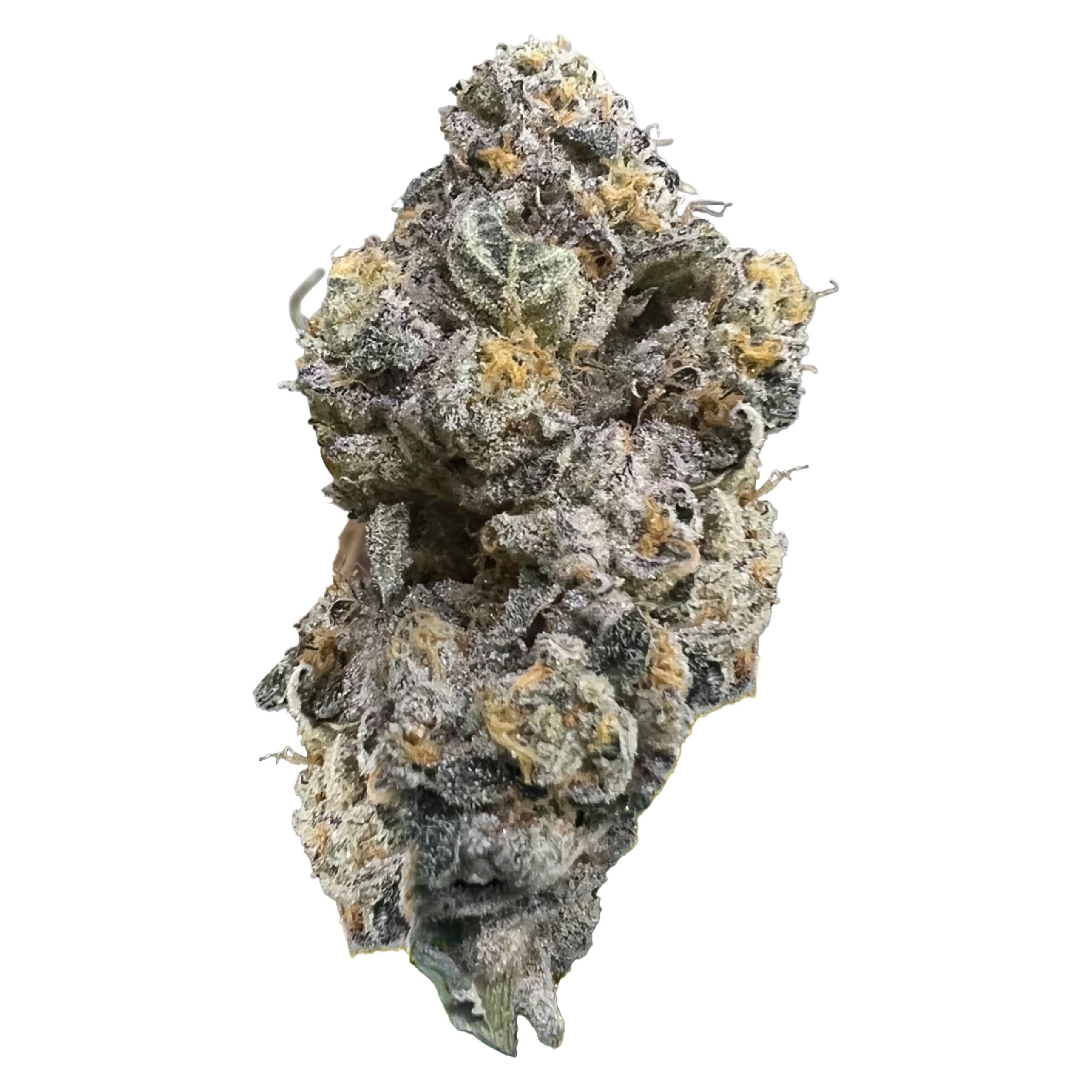 HighXotic - Royal Dive#3: Hindu Glue