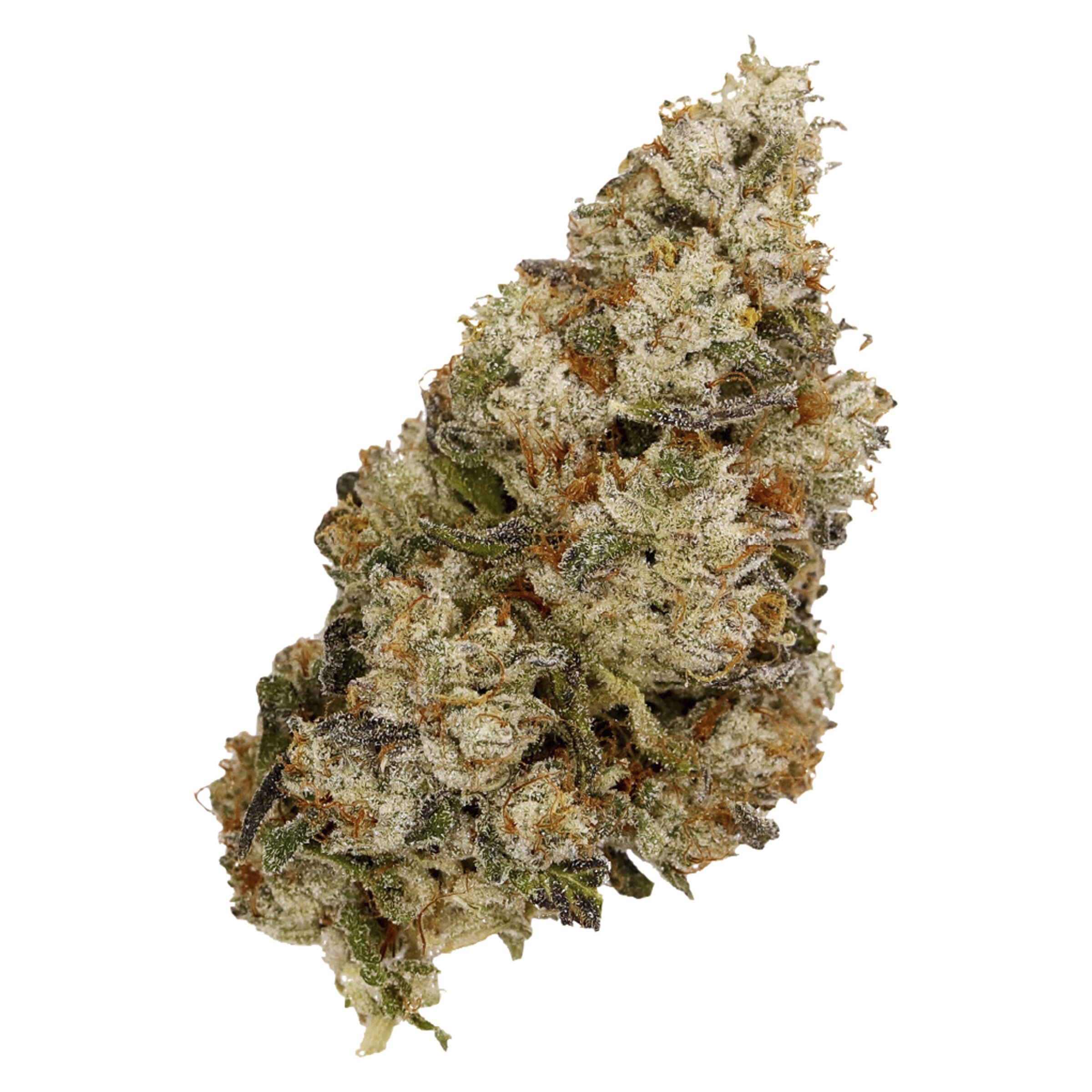 Alaskan TF, 4.8% Terps