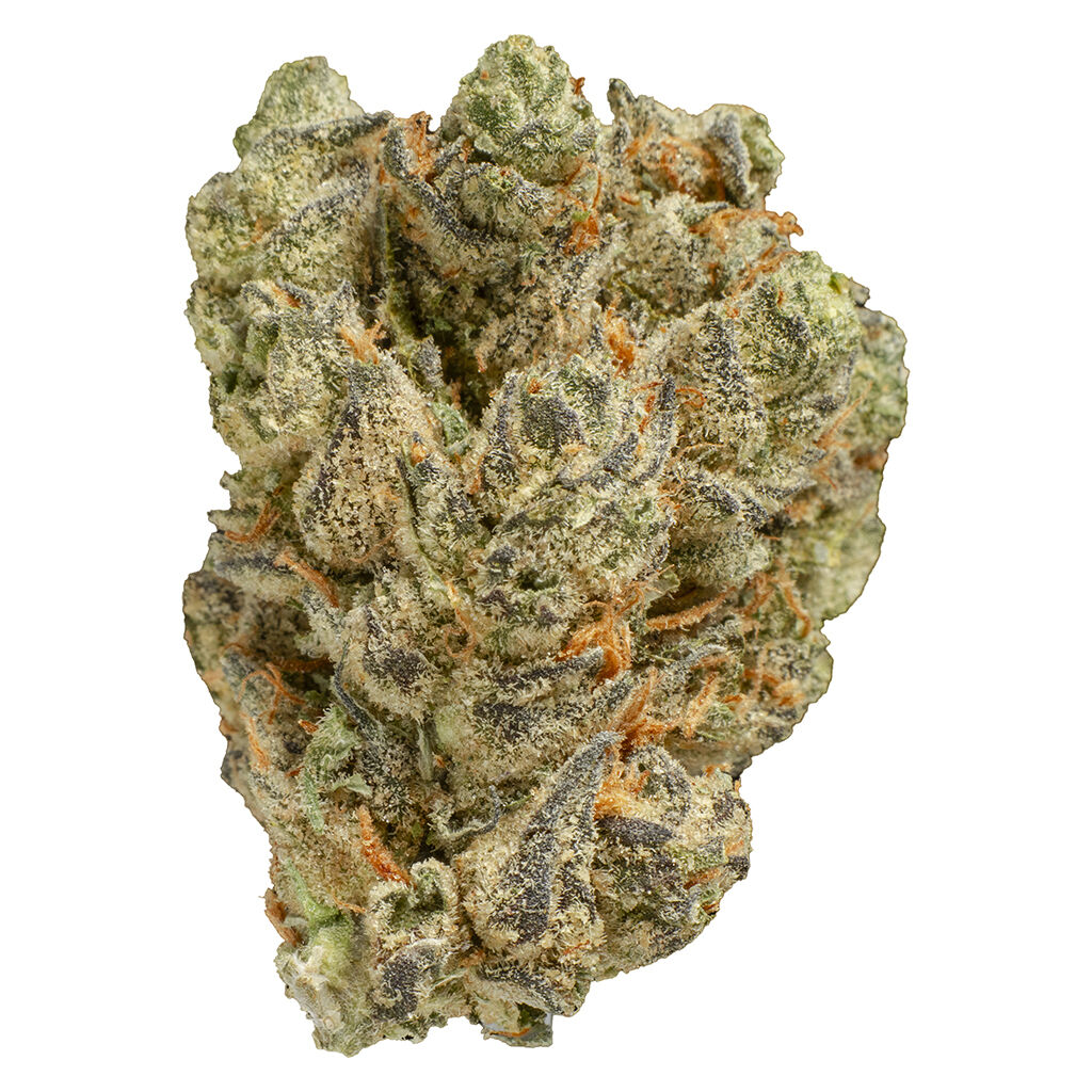 Peach Tree 28g Dried Flower