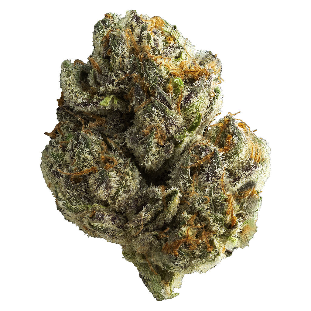 Mighty Mini's (Platinum OG x Purple Punch BX), 4.05% Terps