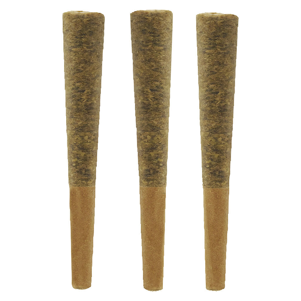 Dreams Pre-Roll