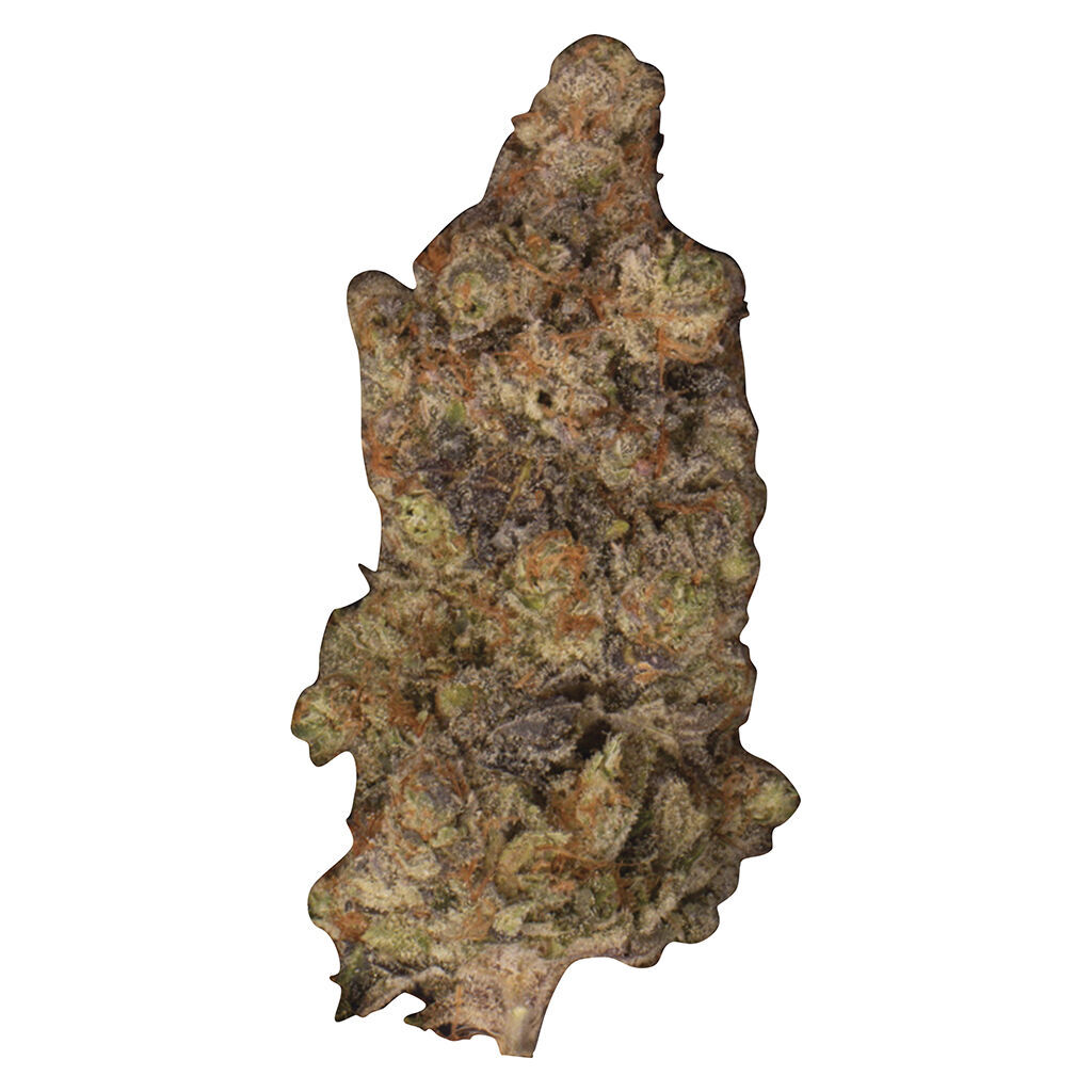 Ripped - Zooted
