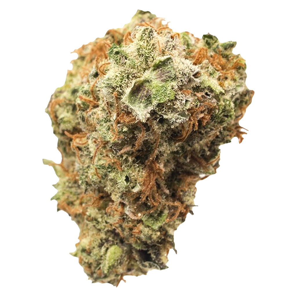 Gelato 41 x Triangle Kush