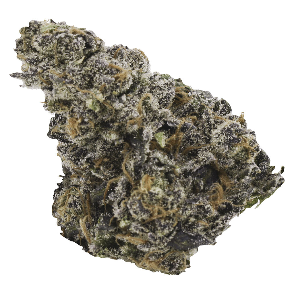 Gastro Pop, 4.2% Terps (Craft)