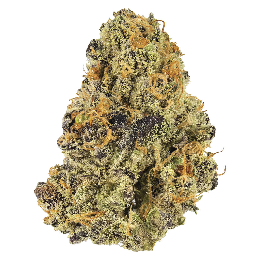 Potluck - Blueberry Tart 7g Dried Flower Main Image