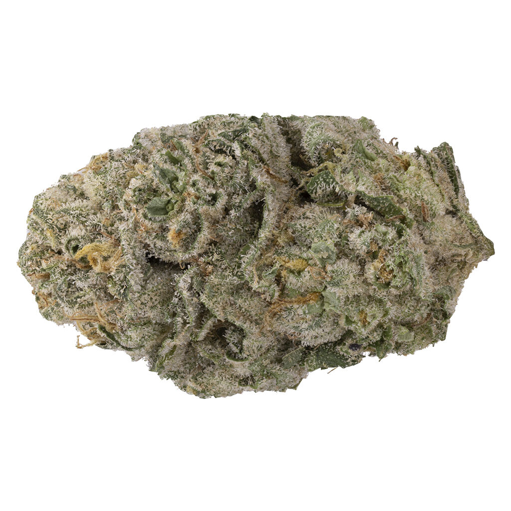 Apex OG (Legendary Larry x Garlic Chem), 2.2% Terps 