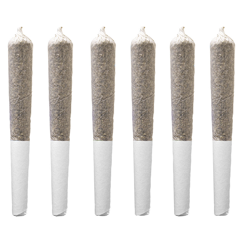 Northern Lights PreRoll Single  1x