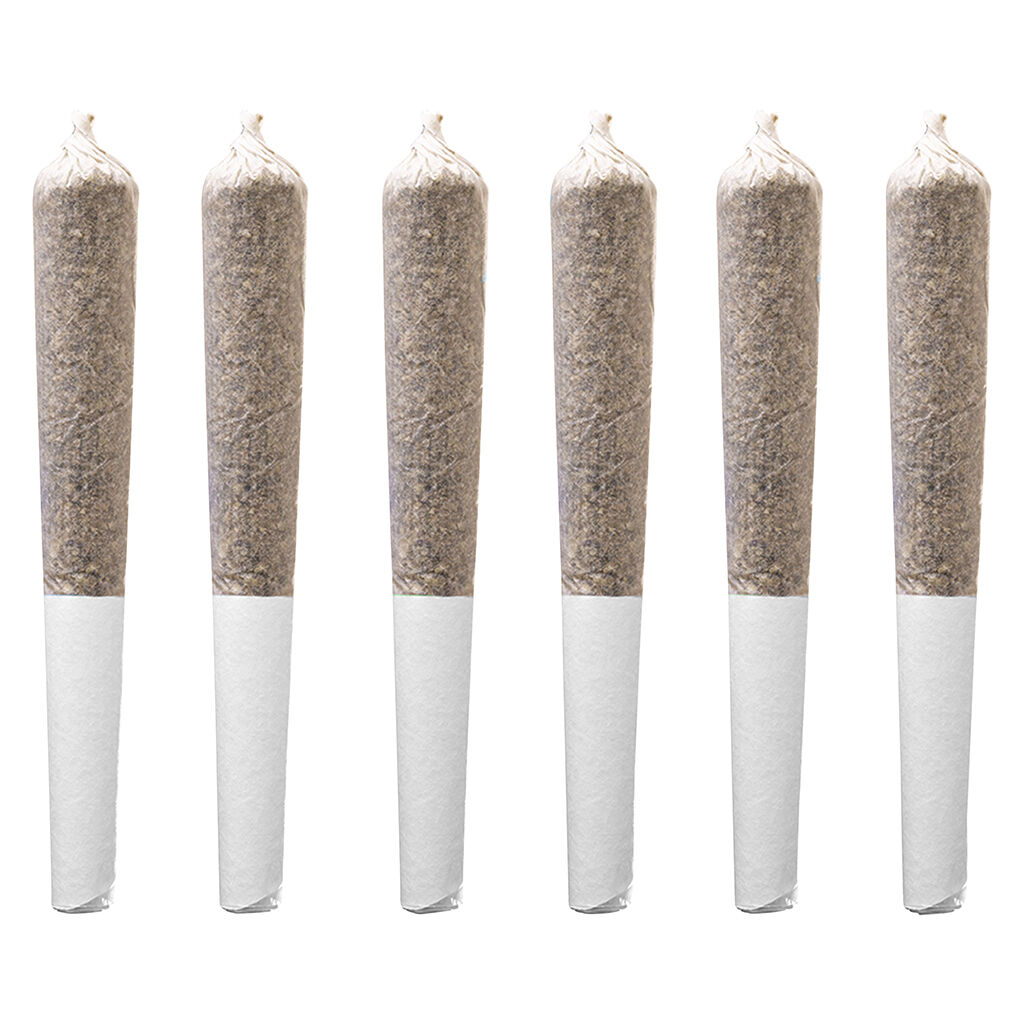 Station House - Trainwreck Pre-Roll