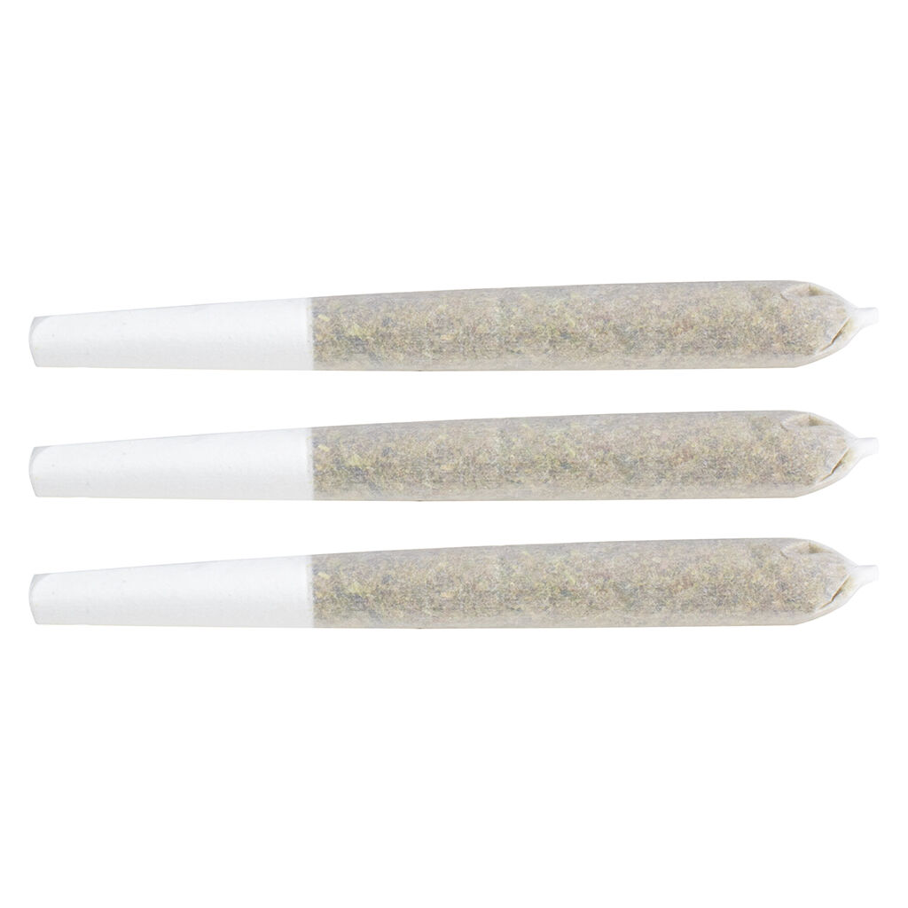 Gastro Pop - 3 Pack