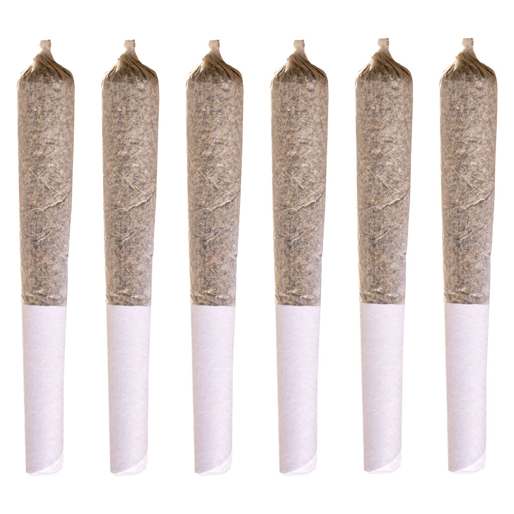 Jack Herer PreRoll  6x