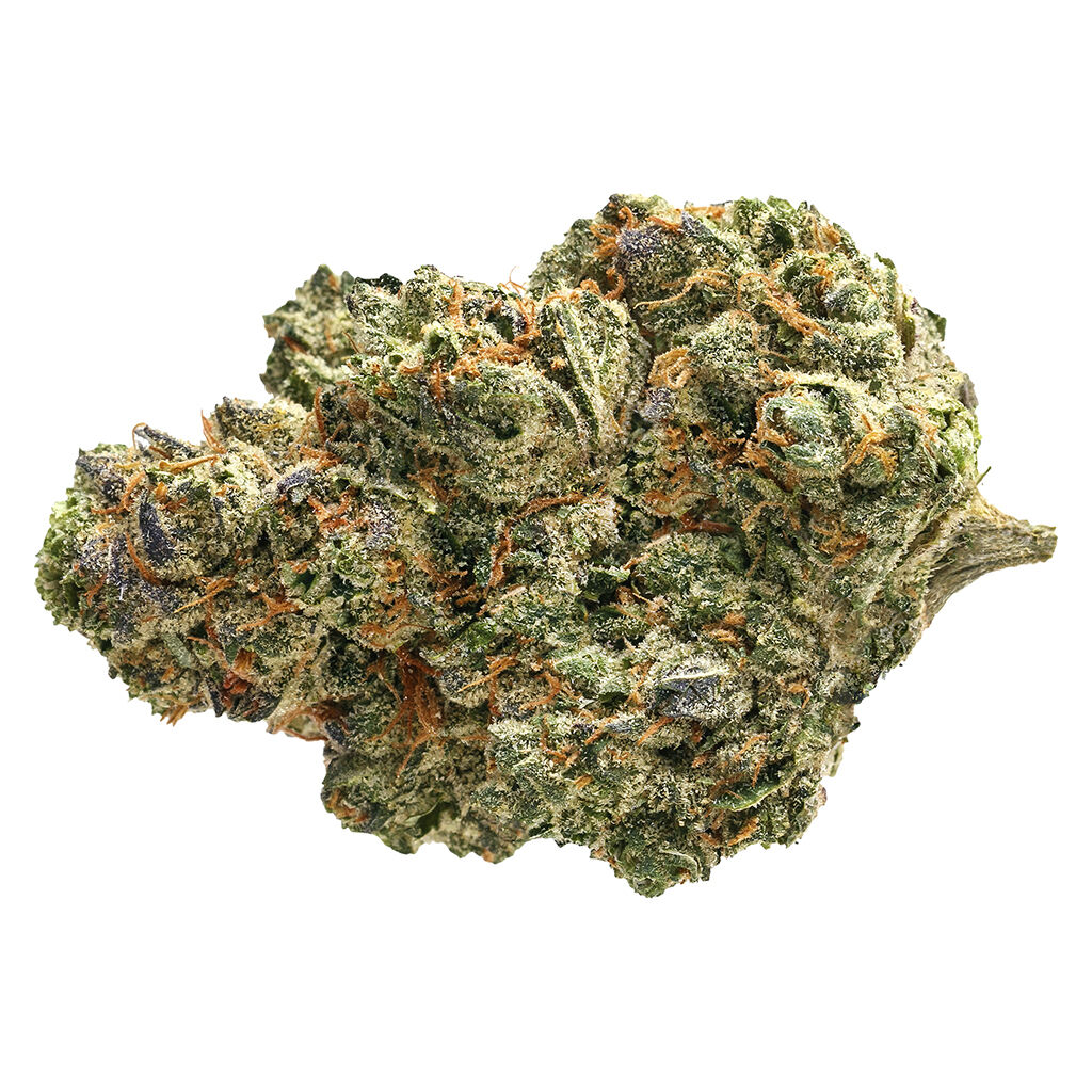 Product image Sunday Cruiser 1