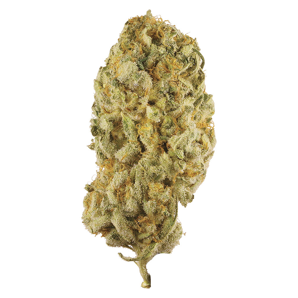 Station House - Jack Herer 3.5g Dried Flower Main Image