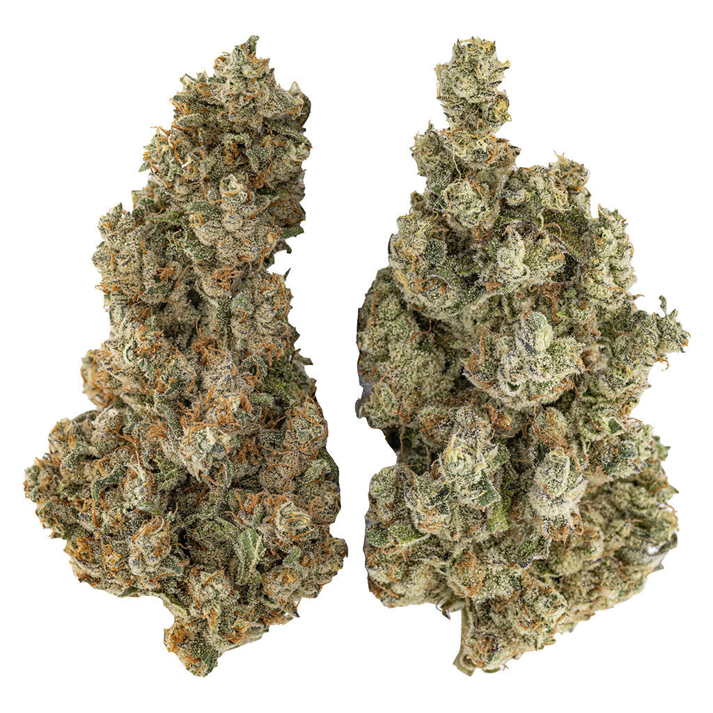 Highly Dutch - Organic Butter Cookies x Organic NYC Juggernaut