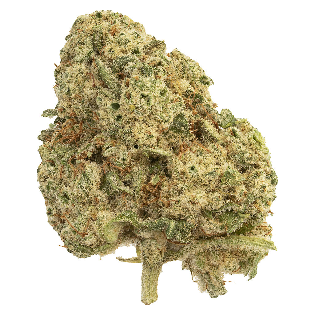 The Loud Plug - Milk Cake