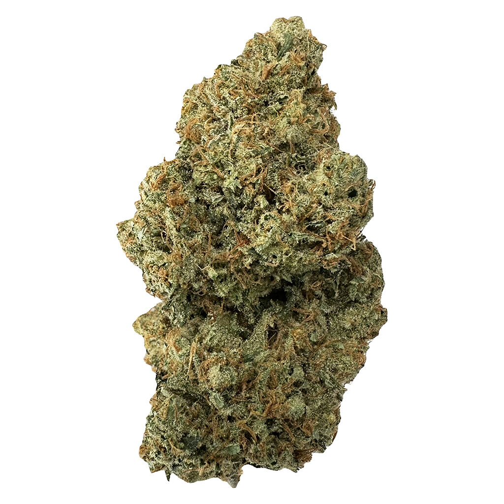 Apricot Cream & Cheese 1:1