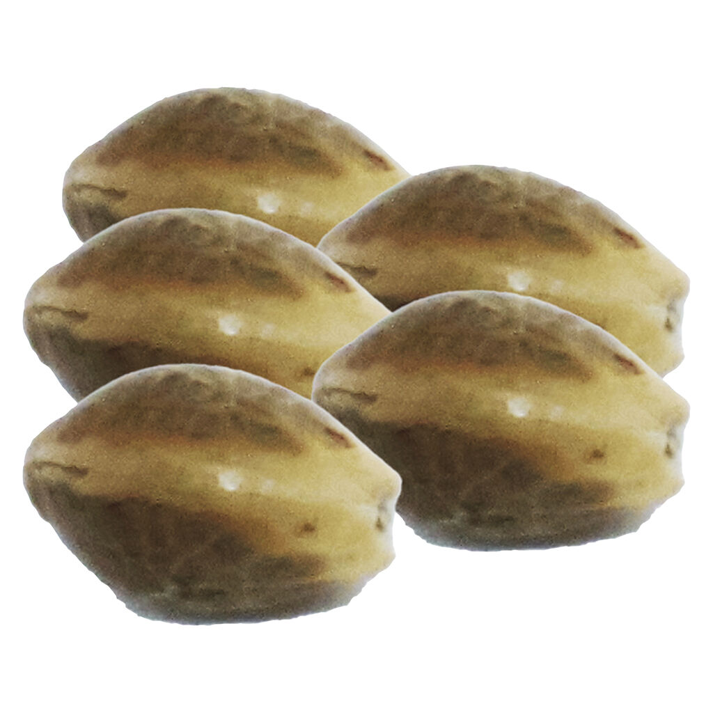 Northern Lights Auto Seeds - 5 Pack