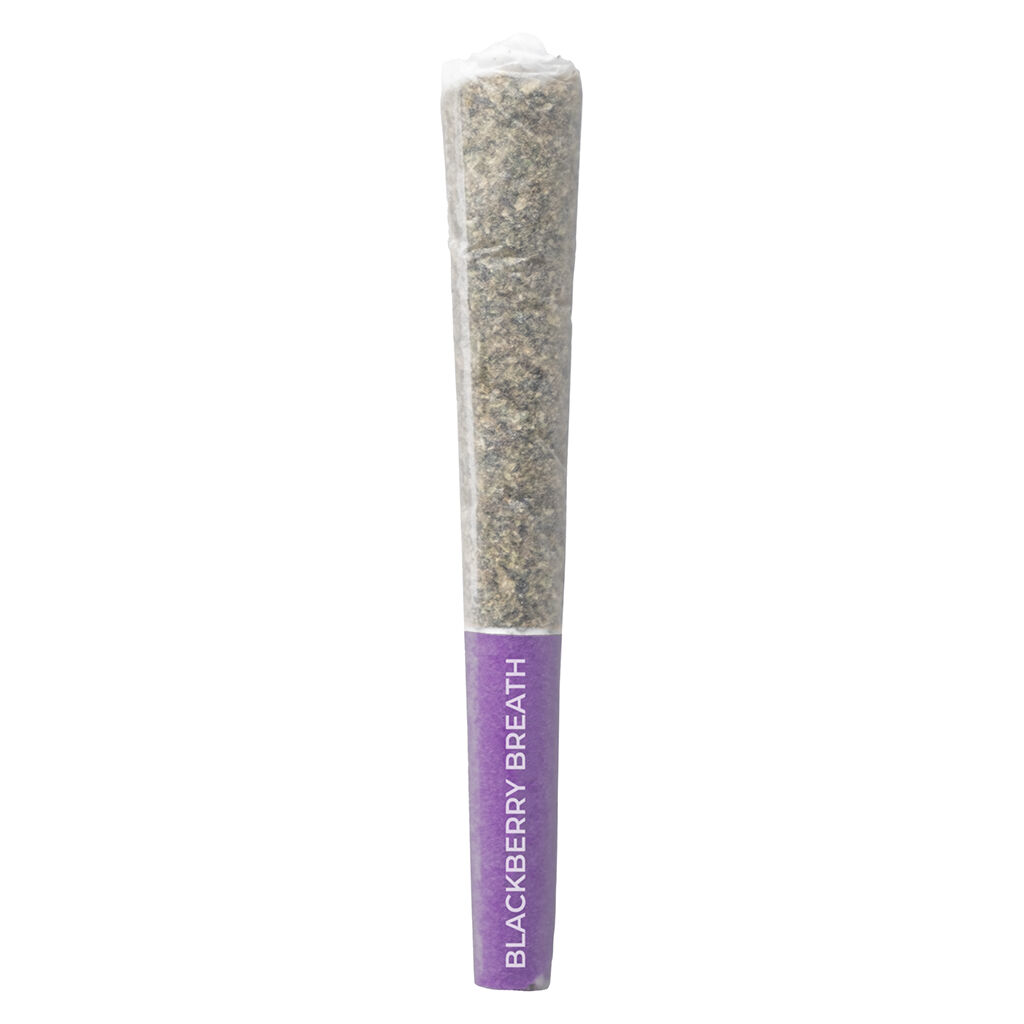 Pistol and Paris - Blackberry Breath Pre-Roll - 3x0.5g