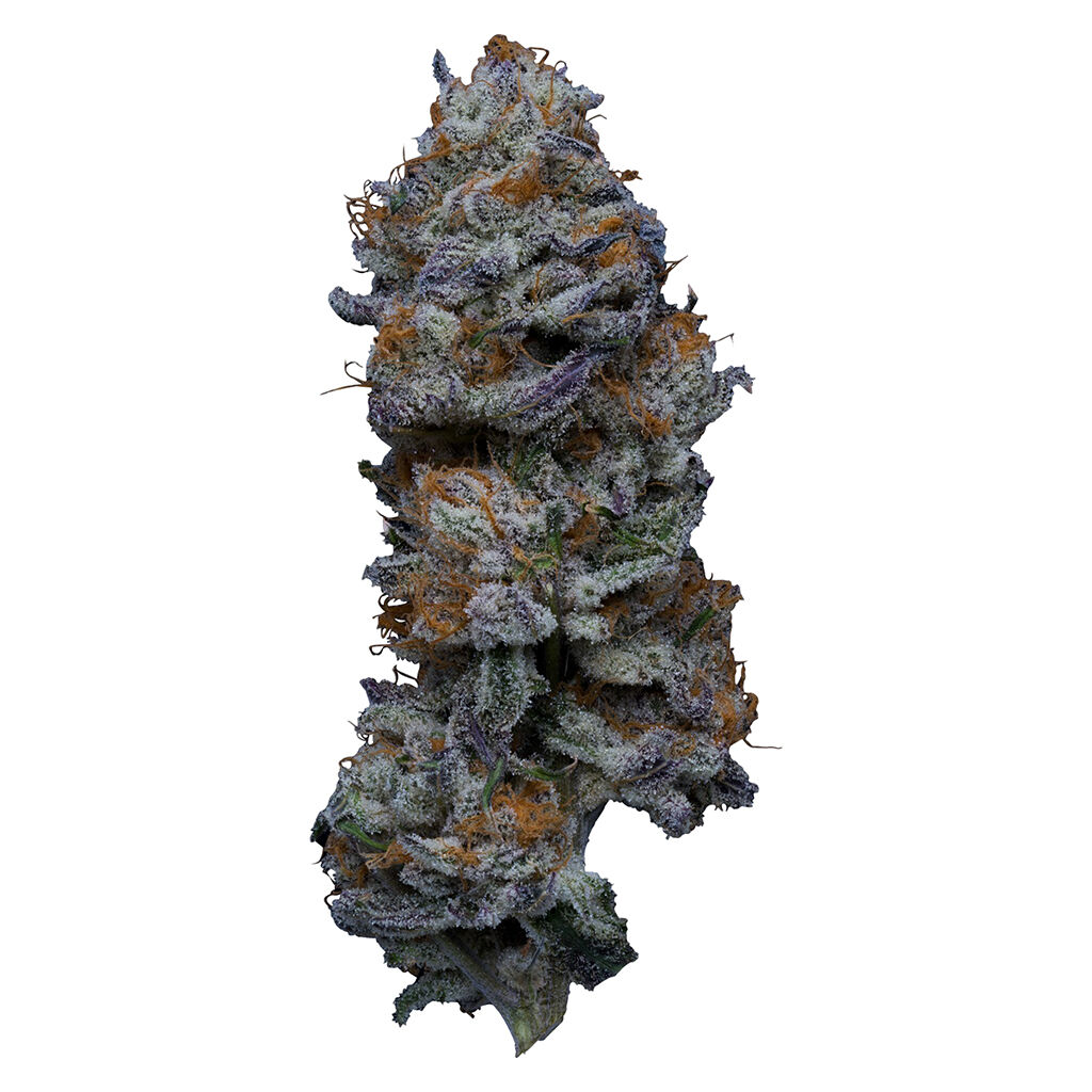 CB Single Rotating Strain Flower