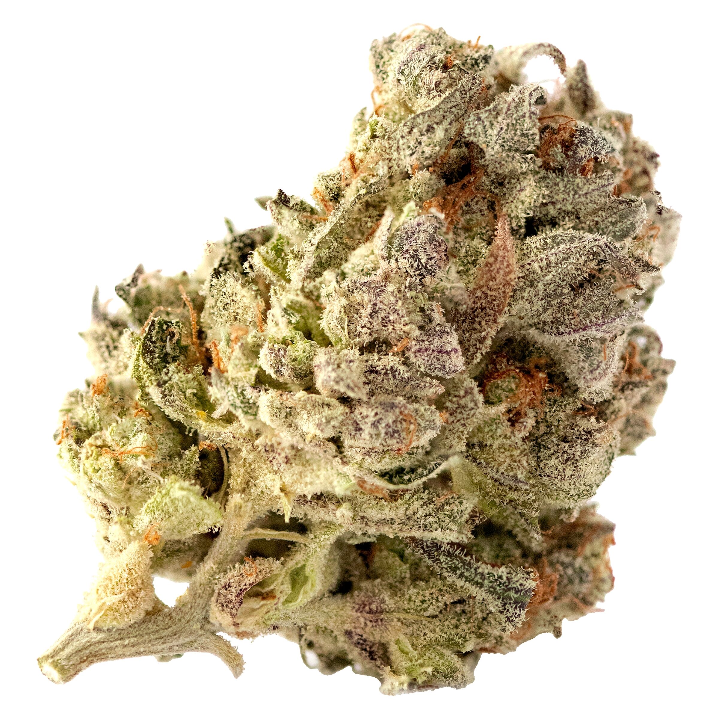 Cherry Park Pie