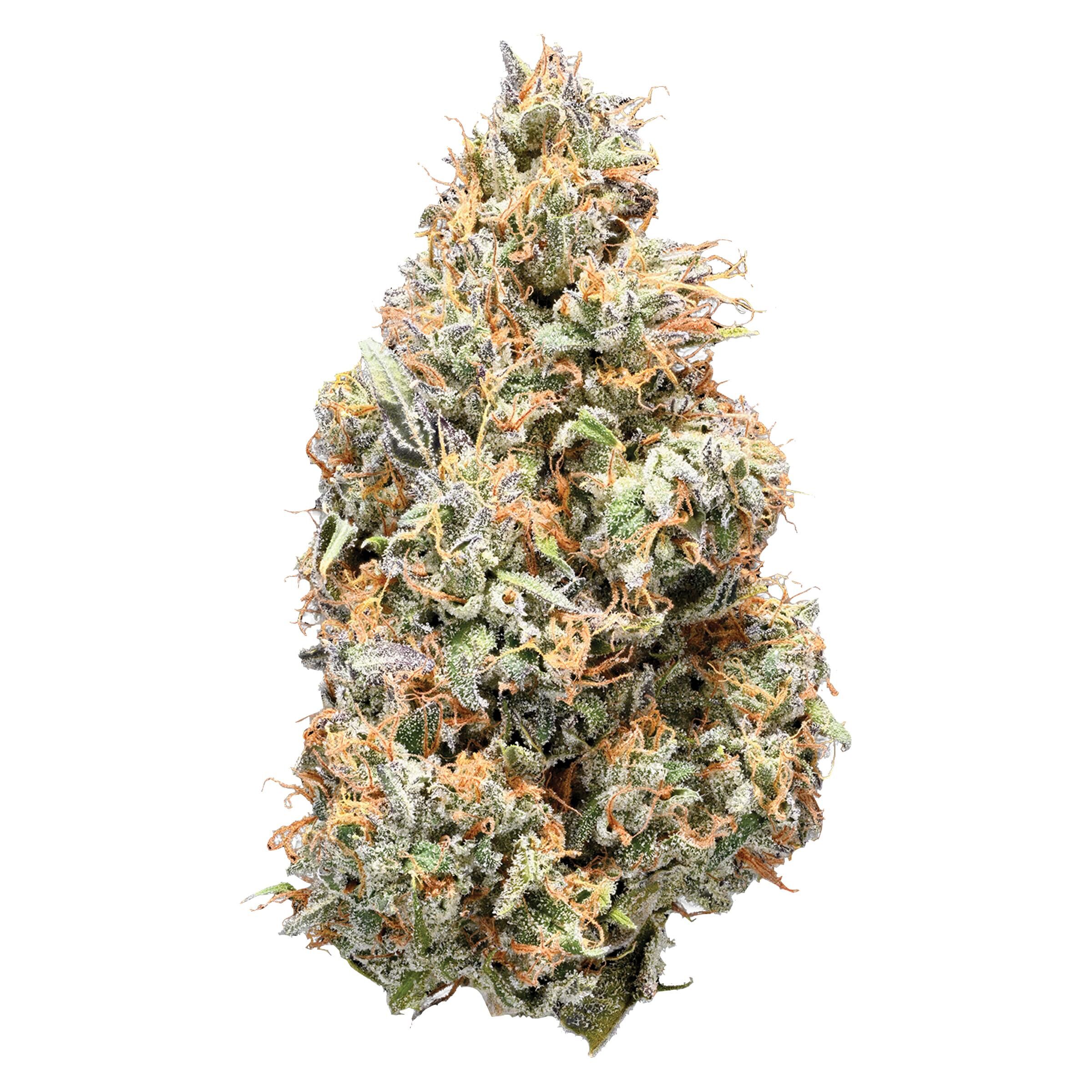 Sativa 14g Dried Flower- Nugz