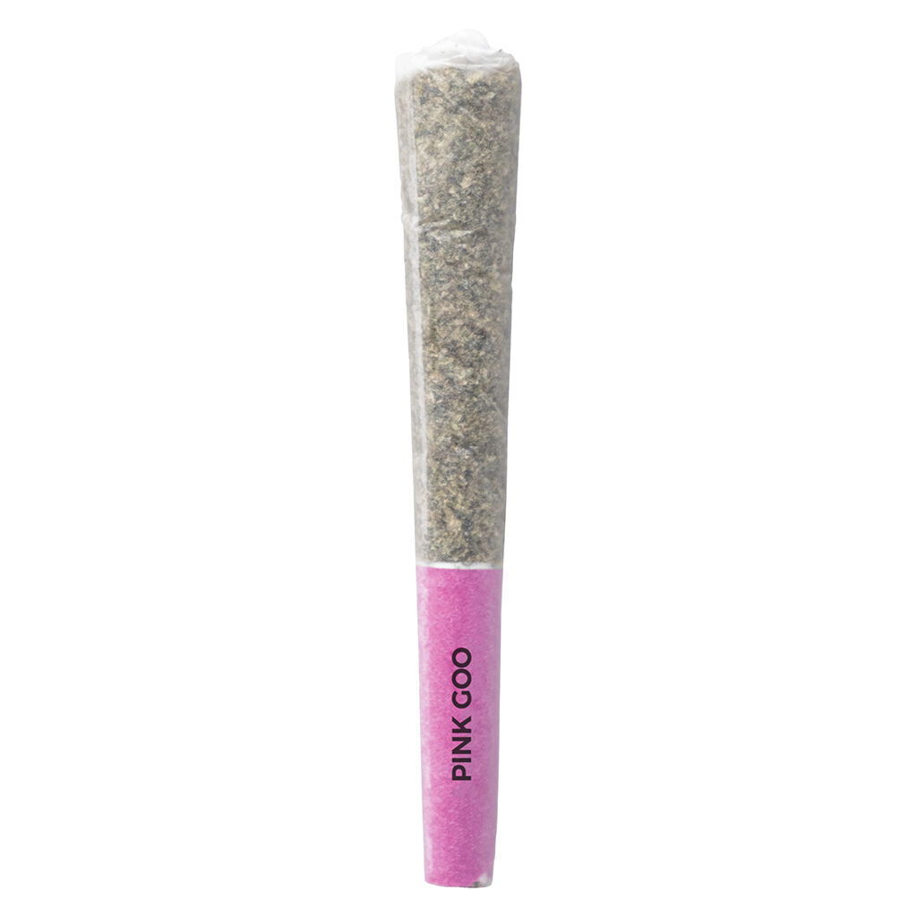 Pistol and Paris - Pink Goo Pre-Roll
