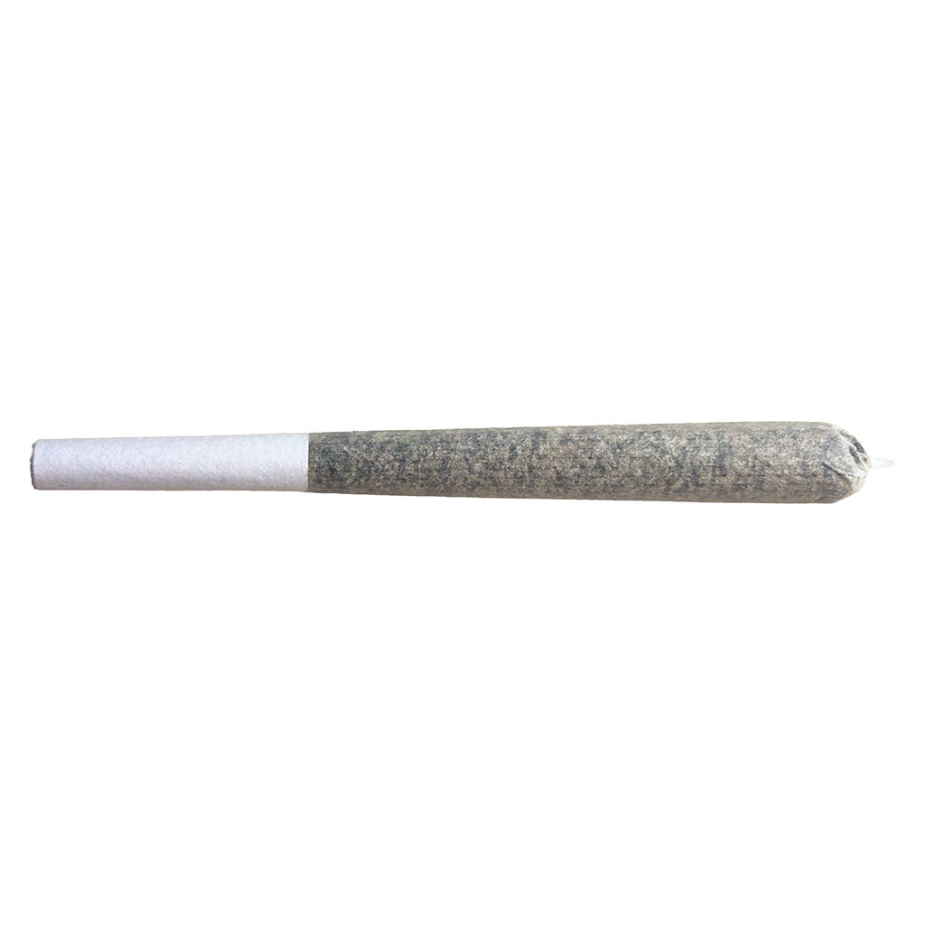 Devil Driver Pre-Roll