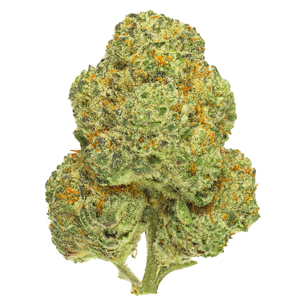 Product image Chemango Kush 1