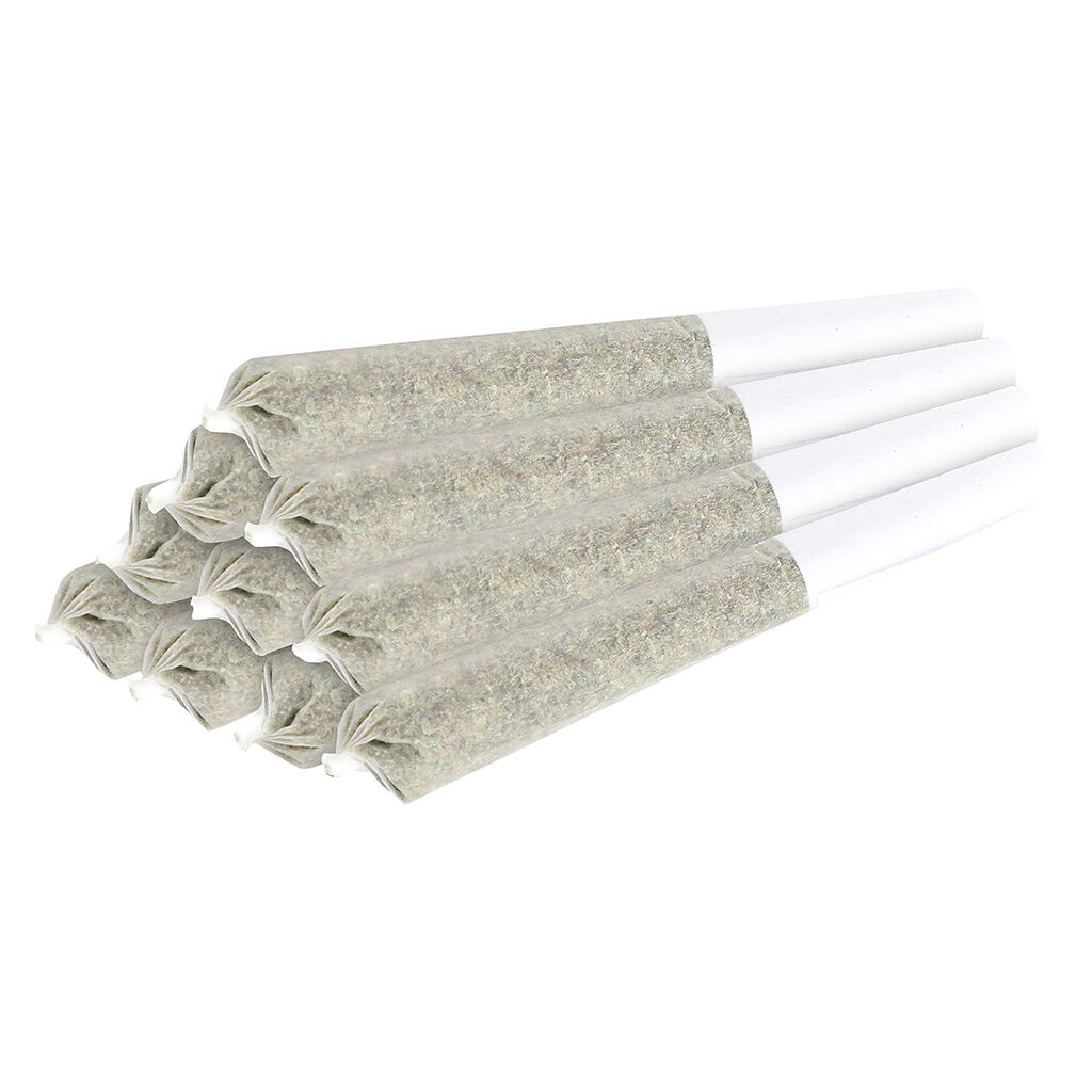 MSIKU - The Tenner Pre-Roll