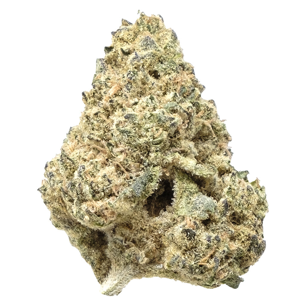 Snicklefritz - Indica