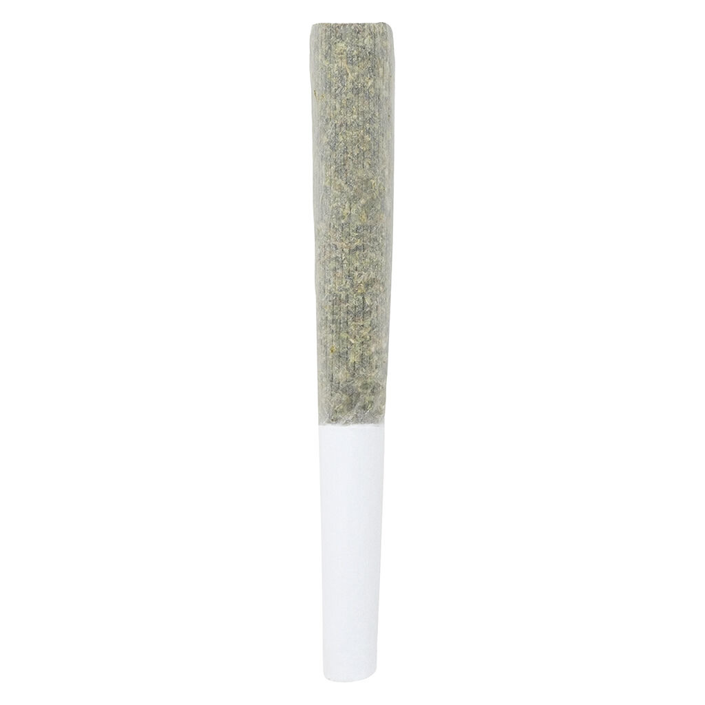Crooked Dory - AAA+ Indica Pre-Roll