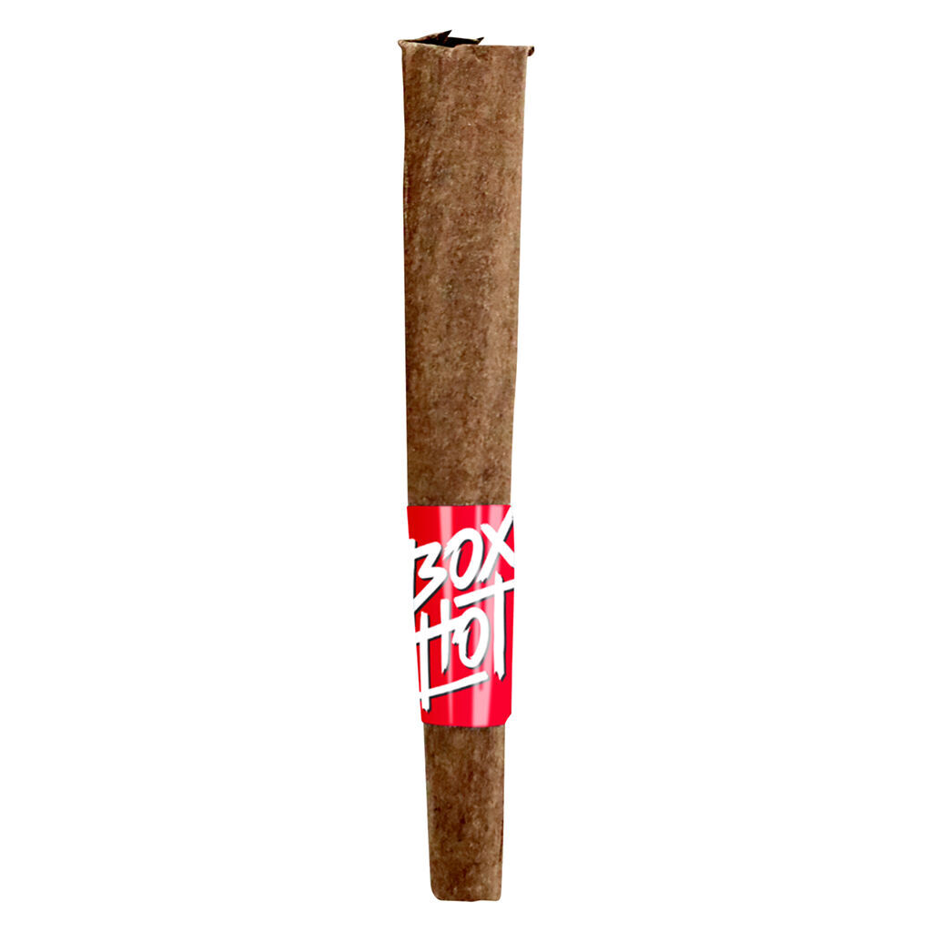 BOXHOT - Stubbies - Mango Vortex Infused Blunts