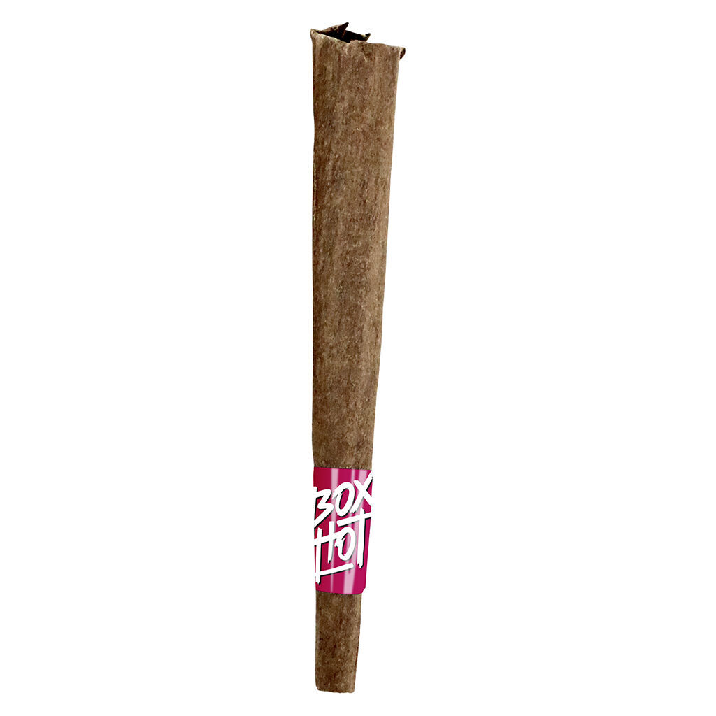BOXHOT - Fatties - Dragon's Breath Infused Blunt - 1x1g