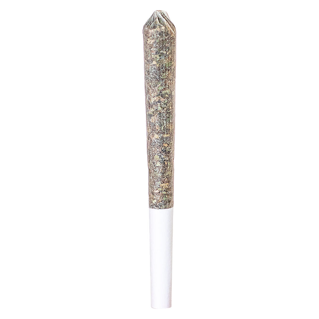 Station House - Ghost Train Haze Express Train Single Infused Pre-Roll