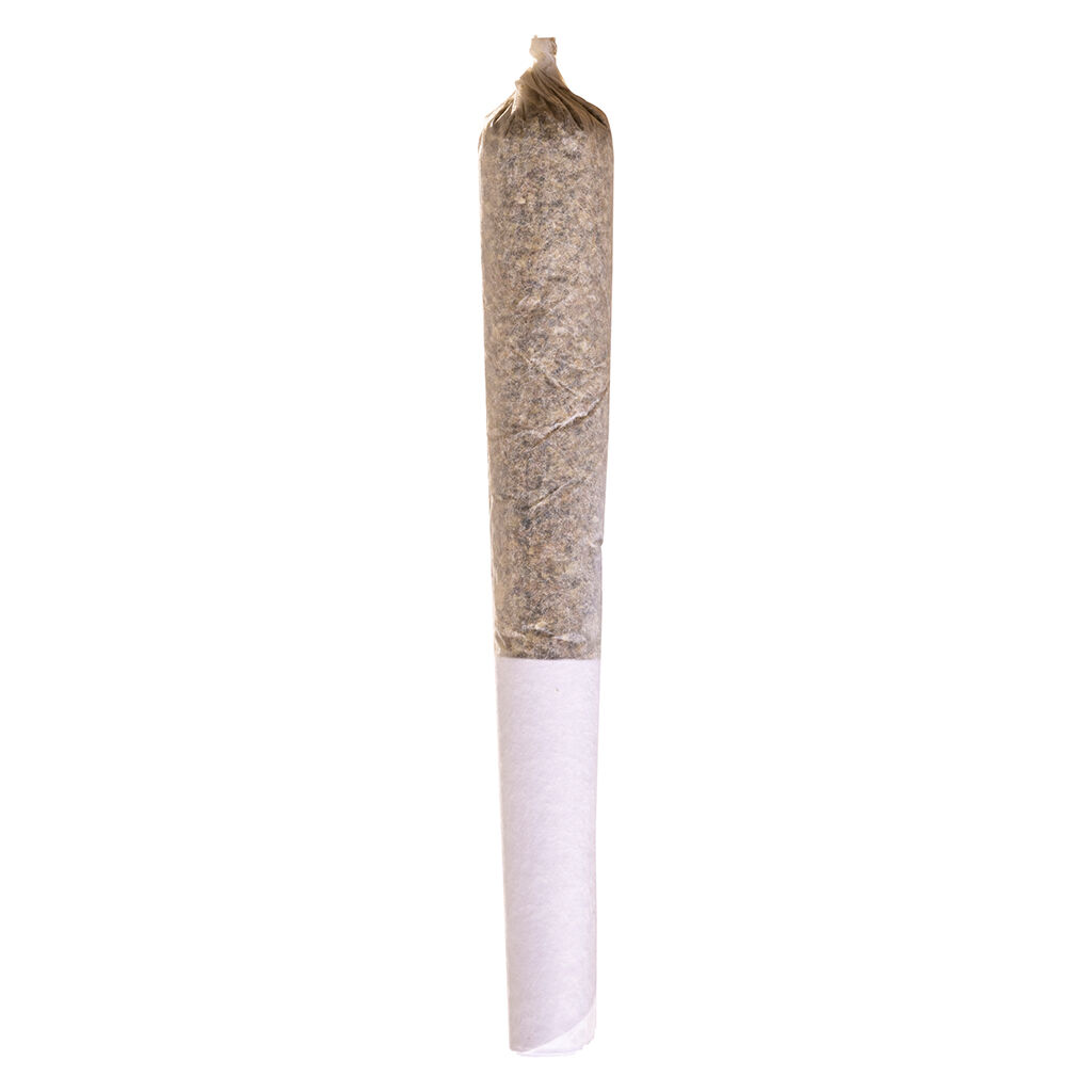 Blue Dream Express Infused Pre-Roll