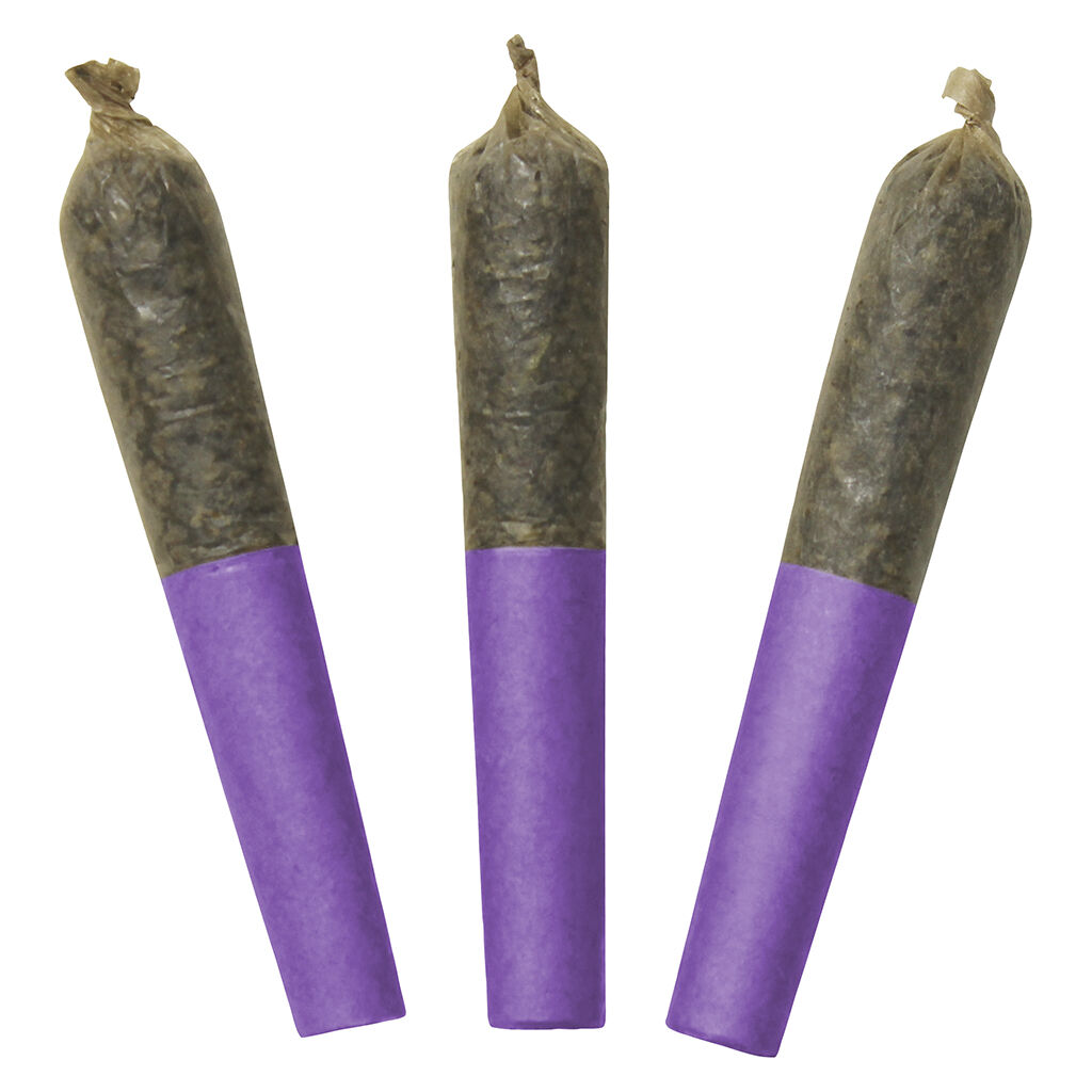 Dab Bods - Motor Breath 60's+ Dbl Infused Pre-Rolls