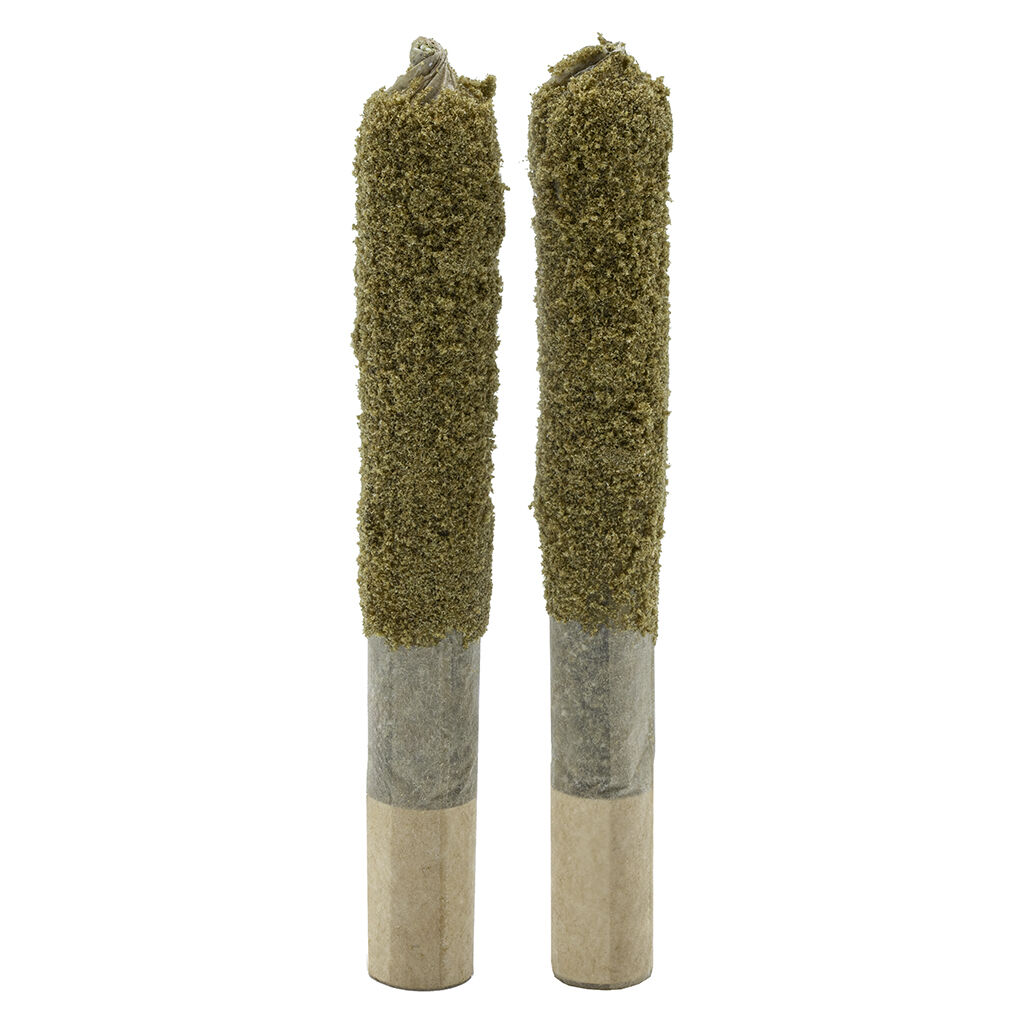 Forbidden RNTZ Dusted Dank 1''s Infused PreRoll  2x